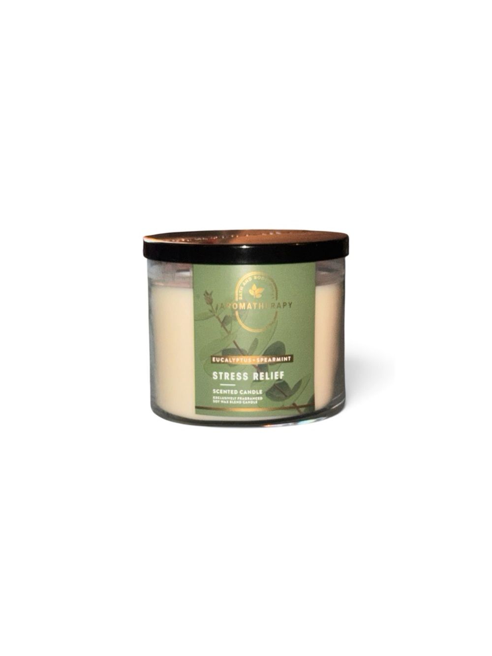 BATH & BODY WORKS aromatherapy Stress Relief Eucalyptus + Spearmint Candle NEW